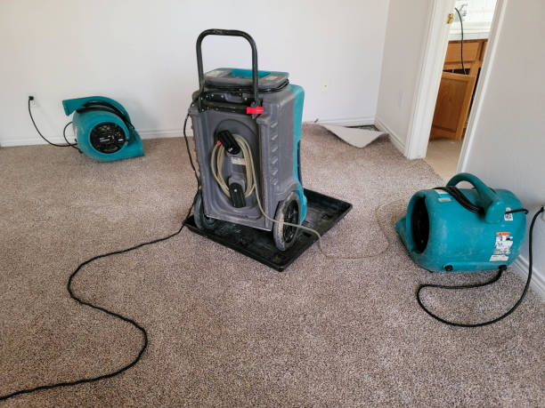 Best Carpet water damage restoration  in Resaca, GA