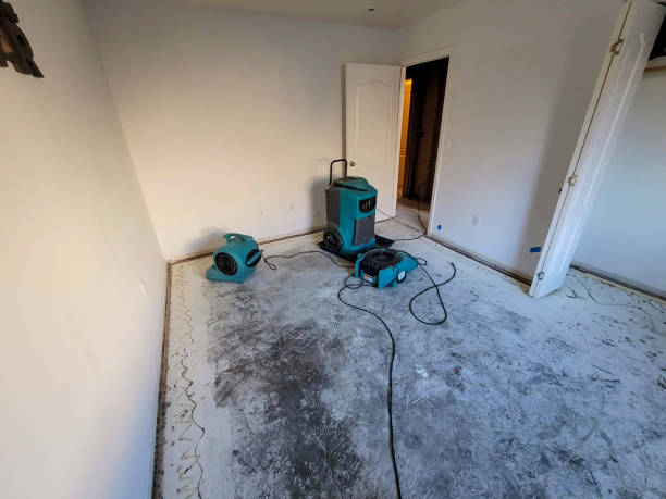 Best 24/7 water damage repair  in Resaca, GA