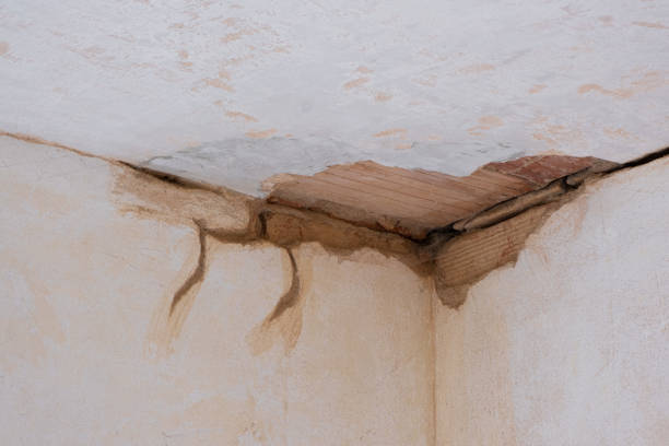 Best 24-hour water damage restoration  in Resaca, GA