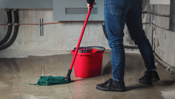 Best Sewage cleanup and water damage restoration  in Resaca, GA