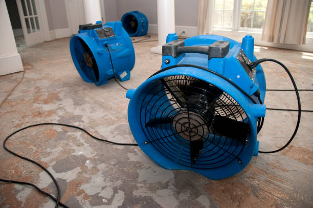 Professional Water damage restoration in Resaca, GA