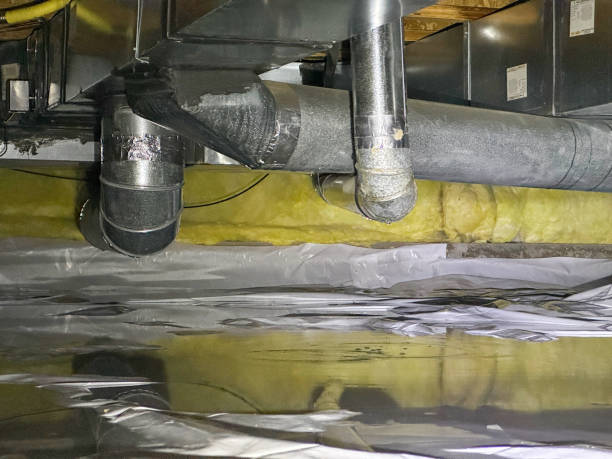 Best Professional water damage repair  in Resaca, GA